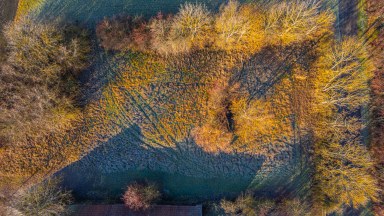 Prodej stavebního pozemku o výměře 986 m² v obci Běchary - Běchárky