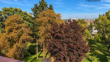 Pronájem moderního bytu 3+kk 70 m² s výjimečnou terasou 88 m²  | Hradec Králové, Dukelská třída