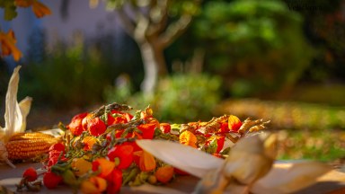 Prodej útulného rodinného domu 93 m2 k trvalému bydlení i rekreaci, s pozemkem 386 m2, Stará Skřeněř