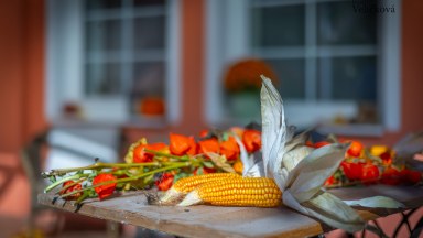 Prodej útulného rodinného domu 93 m2 k trvalému bydlení i rekreaci, s pozemkem 386 m2, Stará Skřeněř