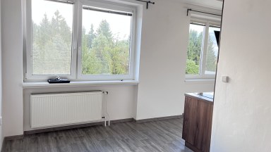 Pronájem prostorného bytu 2+1, 85 m², Olešnice u Chlumce nad Cidlinou